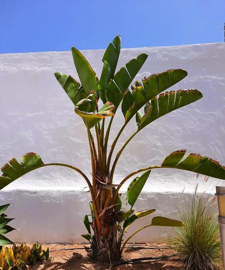 Casa Vivi Fuerteventura Διαμέρισμα Κοραλέχο 0*,  Ισπανία