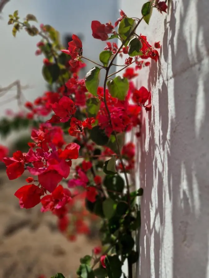 Casa Vivi Fuerteventura Διαμέρισμα Κοραλέχο 0*,